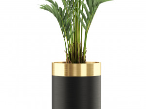 Plants collection 481 3D 모델