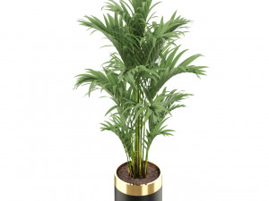 Plants collection 481 3D 모델