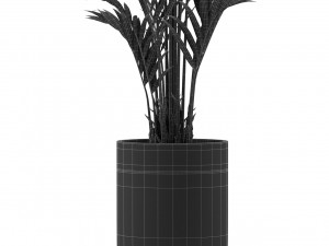 Plants collection 481 3D 모델