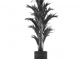 Plants collection 481 3D 모델