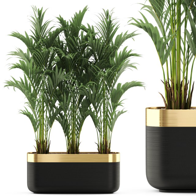 Plants collection 482 Modello 3D .c4d .max .obj .3ds .fbx .stl .blend 