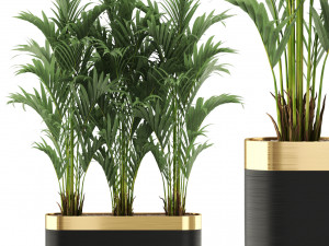 Plants collection 482 3D Модель