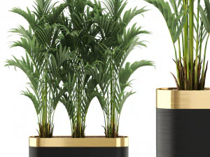 Коллекция растений 482 3D Модель