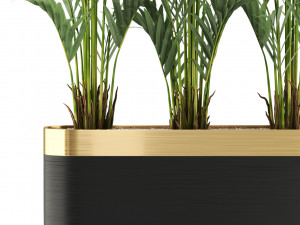 Plants collection 482 Modello 3D