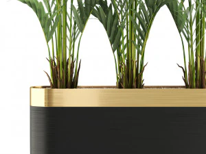Plants collection 482 3D Model