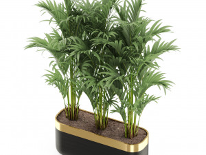 Plants collection 482 Modello 3D