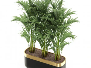 Plants collection 482 3D Model