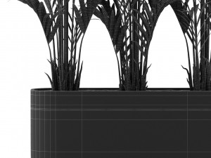 Plants collection 482 Modello 3D