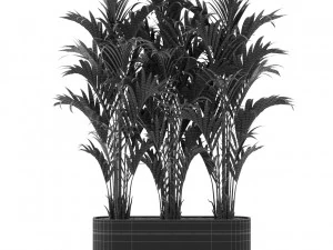 Plants collection 482 3D Model