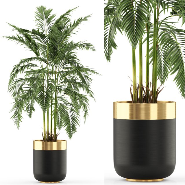 Plants collection 483 3D Modell .c4d .max .obj .3ds .fbx .stl .blend 