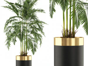 Коллекция растений 483 3D Модель