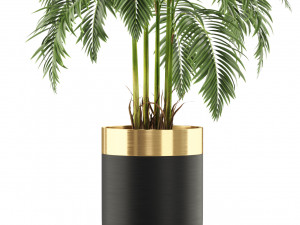 Plants collection 483 3D Modell
