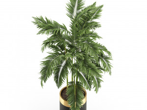 Plants collection 483 3D Modell