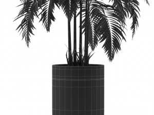 Plants collection 483 3D Modell