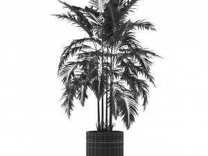 Plants collection 483 3D Modell