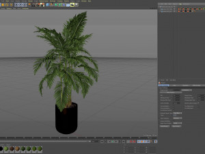Plants collection 483 3D Modell