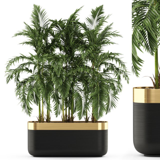 Plants collection 484 Modelo 3D .c4d .max .obj .3ds .fbx .stl .blend 
