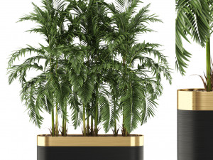 Plants collection 484 3Dモデル