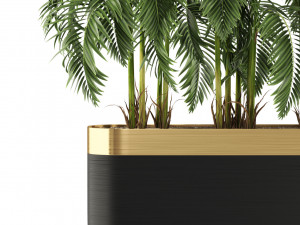 Plants collection 484 Modelo 3D