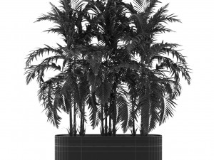 Plants collection 484 Modelo 3D