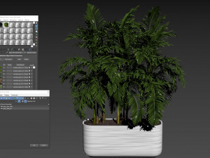 Plants collection 484 Modelo 3D