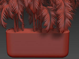 Plants collection 484 Modelo 3D