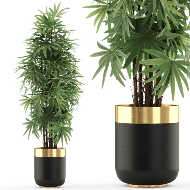Plants collection 485 Model 3D .c4d .max .obj .3ds .fbx .stl .blend 