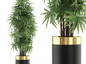 Коллекция растений 485 3D Модель