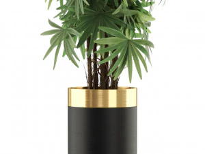 Plants collection 485 3D Model