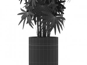 Plants collection 485 3D Model