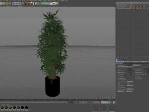 Plants collection 485 3D Model