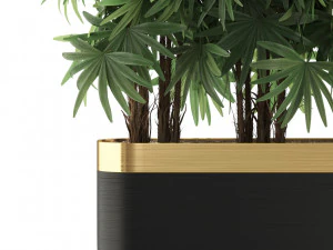 Коллекция растений 486 3D Модель