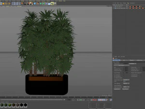 Коллекция растений 486 3D Модель