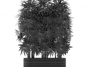 Коллекция растений 486 3D Модель