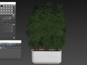 Коллекция растений 486 3D Модель