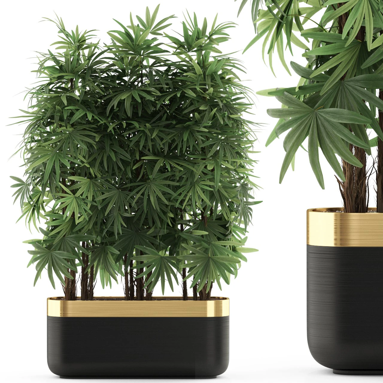 Коллекция растений 486 3D Модель .c4d .max .obj .3ds .fbx .stl .blend