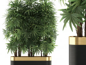 Коллекция растений 486 3D Модель