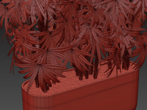 Plants collection 486 Modèle 3D