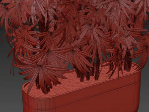 Коллекция растений 486 3D Модель