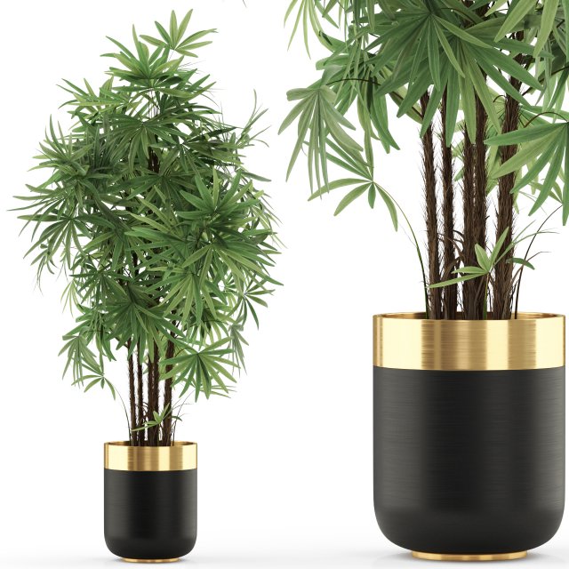 Plants collection 487 Modelo 3D .c4d .max .obj .3ds .fbx .stl .blend 