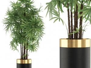 Коллекция растений 487 3D Модель