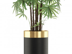 Plants collection 487 Modelo 3D