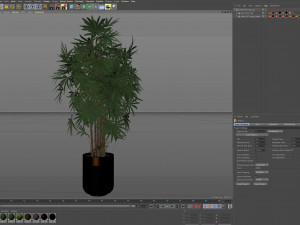 Plants collection 487 Modelo 3D