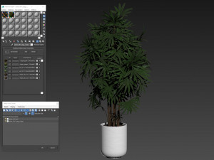 Plants collection 487 Modelo 3D