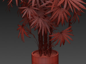 Plants collection 487 Modelo 3D