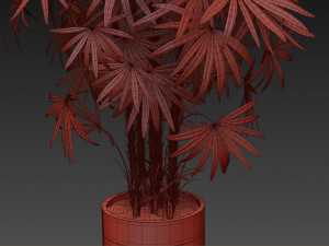 Plants collection 487 Modelo 3D