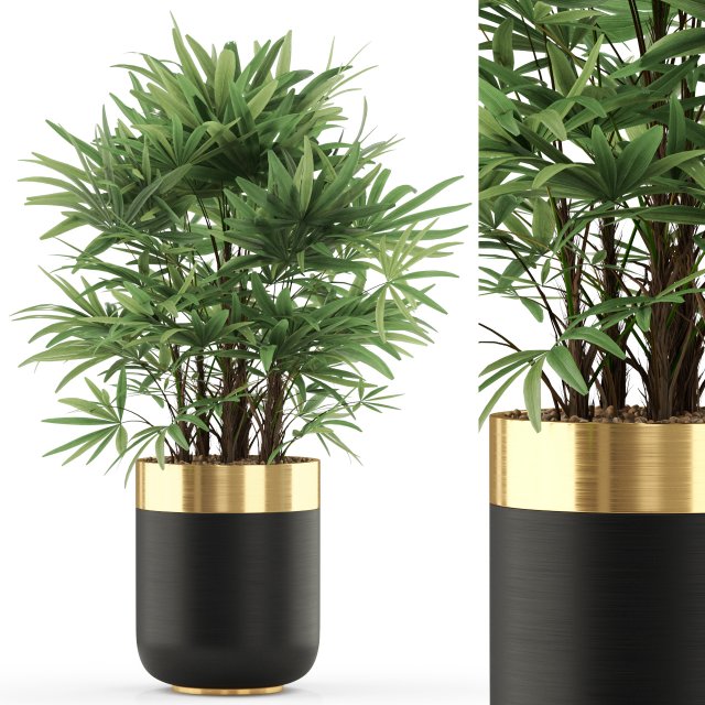 Plants collection 488 Modello 3D .c4d .max .obj .3ds .fbx .stl .blend 