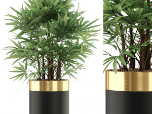 Kolekcja roślin 488 Model 3D