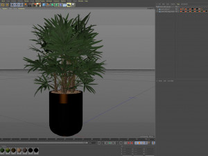Plants collection 488 Modello 3D