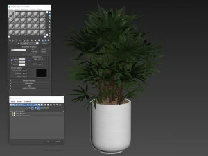 Plants collection 488 3D Model